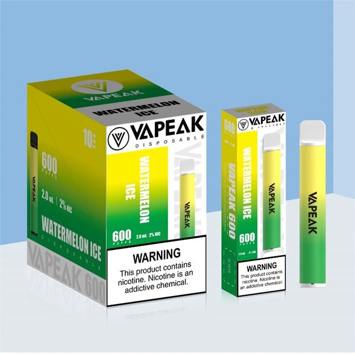 Penna Vape monouso 600 Puff